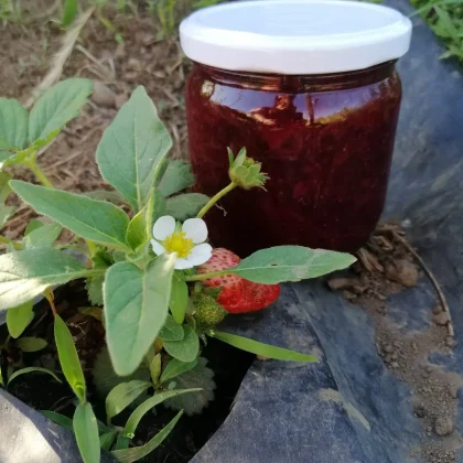 Frutilla con Lavanda